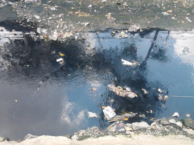 Hình ảnh nước thải từ bể phốt chảy ra ngoài môi trường